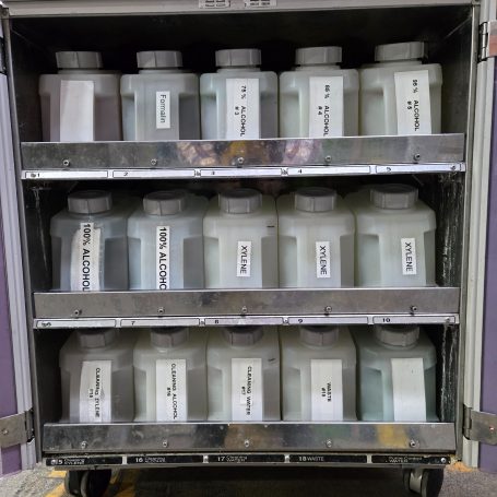 Sakura Tissue-Tek VIP 5